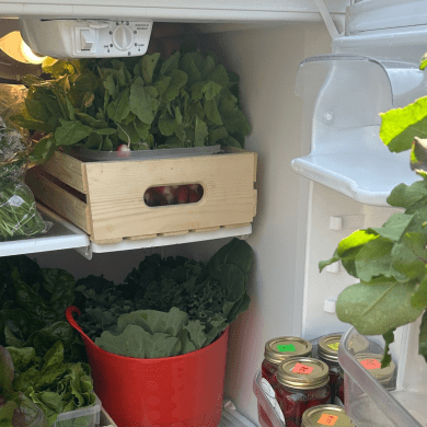 An image of the produce fridge as posted to the Yellowknife Urban Farm Facebook page.